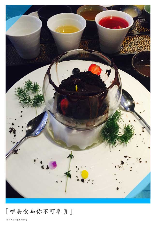 2015年第十二屆上海模型展，大華參展！