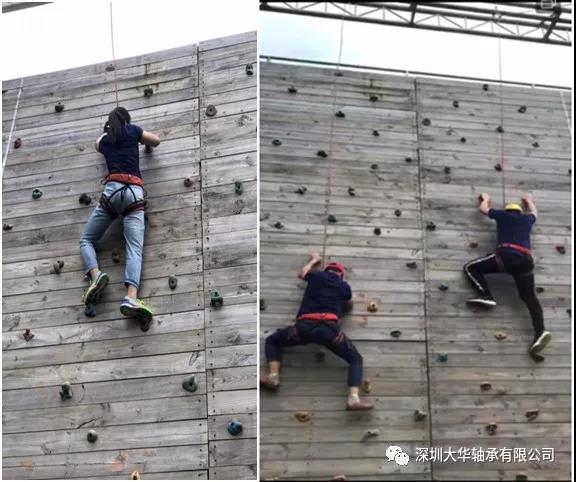 深圳大華軸承2019年戶外拓展培訓(xùn) 深圳大華軸承2019年戶外拓展培訓(xùn)